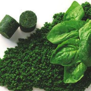 Hakket spinat, 2,5 kg, kologisk