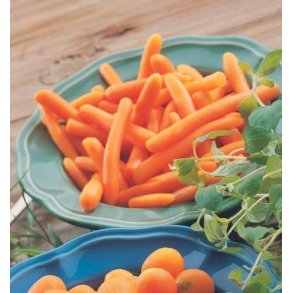 Baby karotter, 2,5 kg