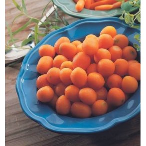 Pariser karotter, 2,5 kg