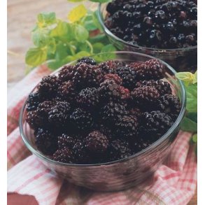 Brombr, 1 kg