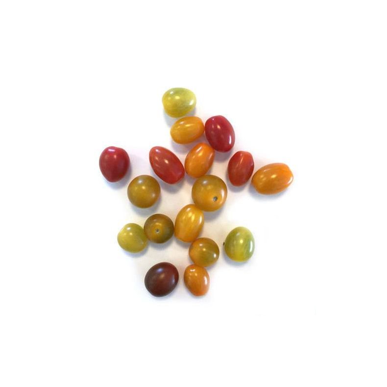 Tomater cherry mix 3 varianter KL1 Holland/Marokko, 3 kg