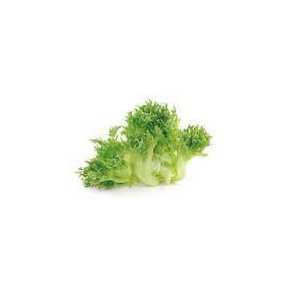 Salat Frillice KL1 Spanien, stk.
