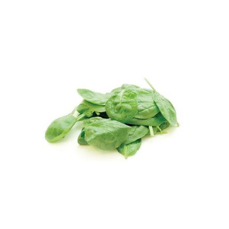 Salat babyspinat KL1 Spanien/Italien/Danmark, 100 g