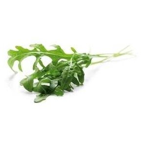 Salat rucola KL1 Italien, 100 g