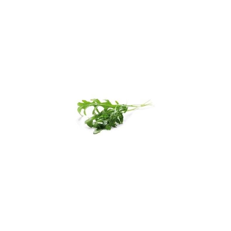 Salat rucola KL1 Italien/Danmark, 100 g