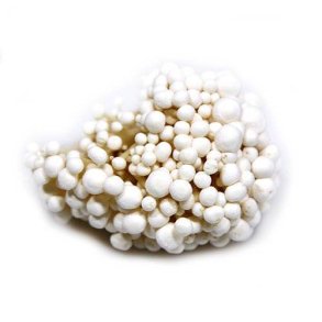 Svampe Enoki/Fljlsfod, KL1 Danmark, 100 g, KO