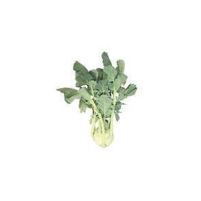 Glaskl/knudekl, KL1 Italien/Tyskland, stk.