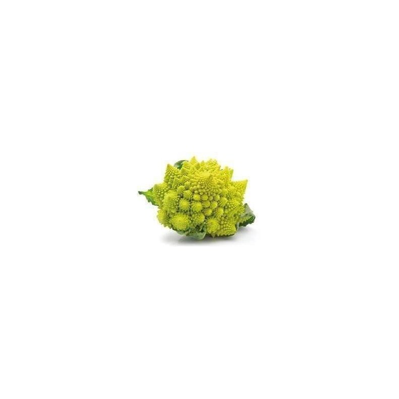 Romanesco KL1 Italien, stk.