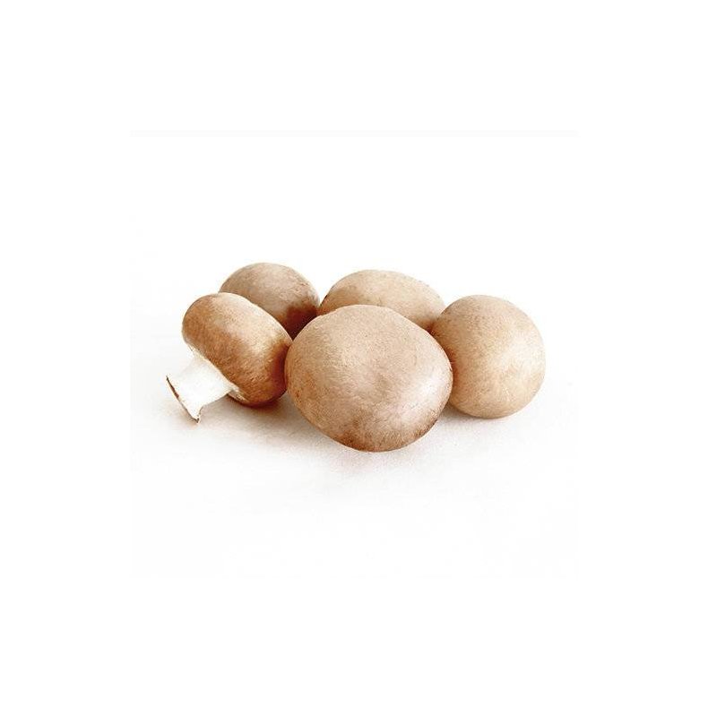 Champignon mark brune uden rod KL1 Polen, 400 g