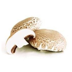 Svampe portobello KL1 Holland/Litauen, 1,5 kg, KO