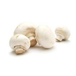 Champignon hvide u/rod KL1 Polen, 400 g