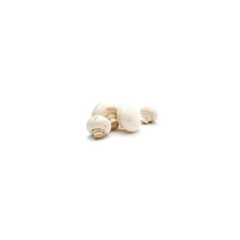 Champignon hvide uden rod KL1 Polen, 400 g