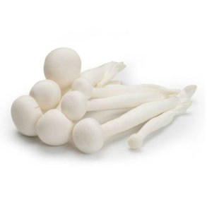 Svampe Bgehatte hvide KL1 Korea/Kina, 150 g