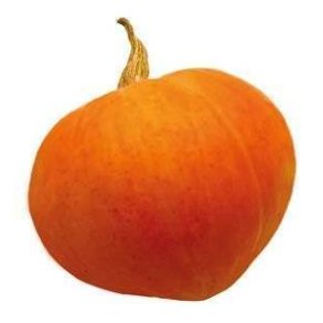 Grskar Hokkaido KL1 Sydafrika, stk. KO