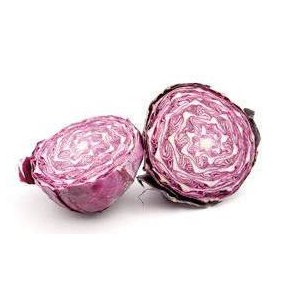 Rdkl KL1 Holland/Frankrig, stk. KO