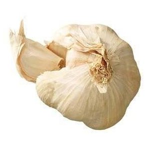 Hvidlg i net KL1 Spanien, 180 g