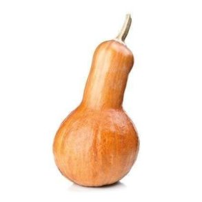 Butternuts KL1 Sydafrika/Brasilien, stk.