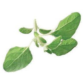 Oregano KL1 Italien/Spanien/Portugal, 70 g, KO