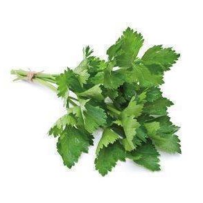 Krvel KL1 Israel/Kenya/Spanien, 75 g