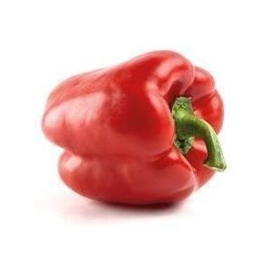 Peber rd 80/100 KL1 Holland, stk.