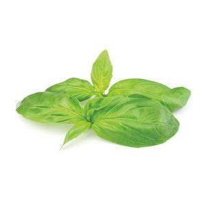 Basilikum grn KL1 Israel/Spanien, 70 g, KO
