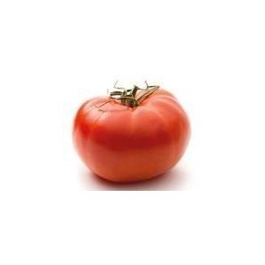 Tomater bf KL1 Spanien, stk. KO