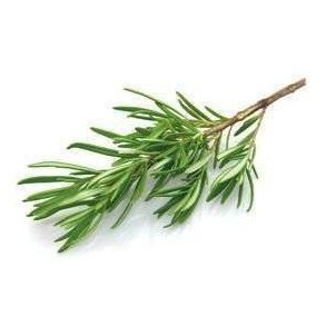 Rosmarin KL1 Spanien/Kenya, 75 g