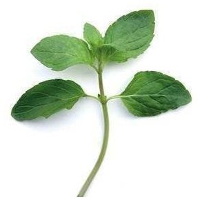 Mynte KL1 Spanien/Marokko/Tyskland, 70 g, KO