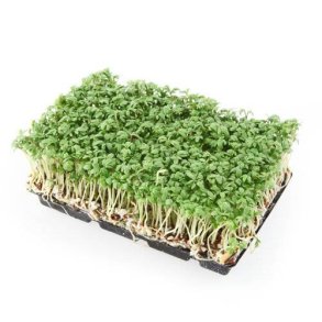 Karse m/lg, KL1 Danmark, lille bakke, ca. 65 g