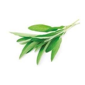 Salvie KL1 Kenya/Spanien, 75 g