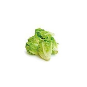 Salat hjerte KL1 Spanien, 2 stk. KO