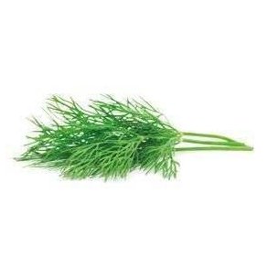 Dild KL1 Italien, 150 g