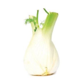 Fennikel KL1 Spanien, stk. KO