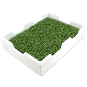 Karse hotel u/lg, KL1 Danmark, 4 bk