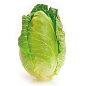 Spidskl KL1 Holland, stk.