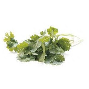 Koriander KL1 Tyskland/Spanien/Marokko, 70 g, KO