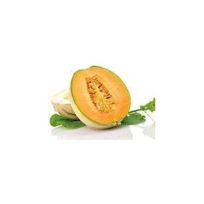 Melon Cantaloup KL1 Brasilien/Honduras, stk.