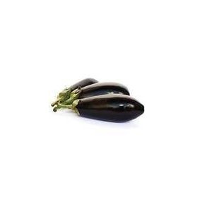 Auberginer KL1 Holland/Spanien, stk.